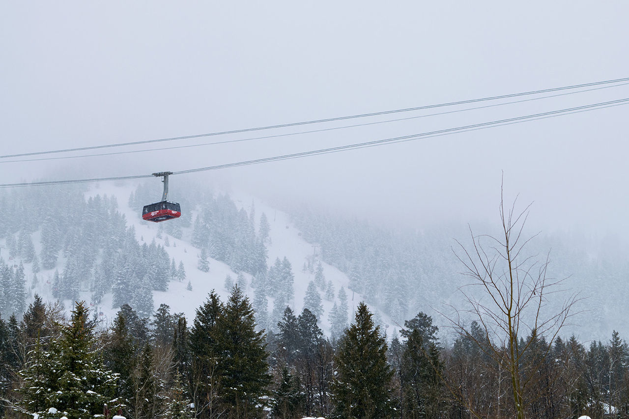 Jackson Hole Tram